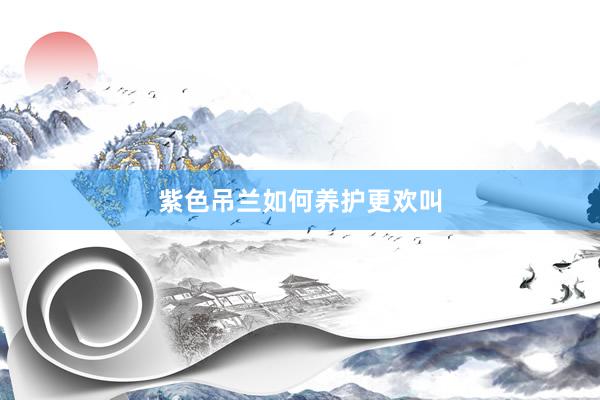 紫色吊兰如何养护更欢叫