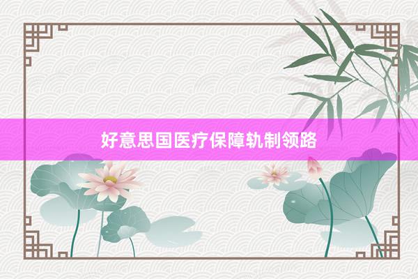 好意思国医疗保障轨制领路