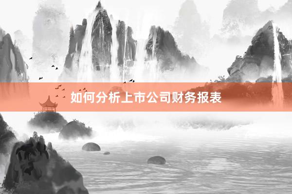 如何分析上市公司财务报表